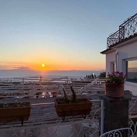 Hotel Dania Sorrento Dış mekan fotoğraf