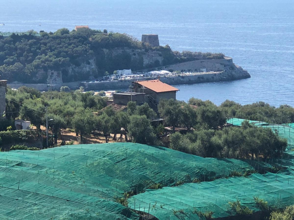 Hotel Dania Sorrento Dış mekan fotoğraf