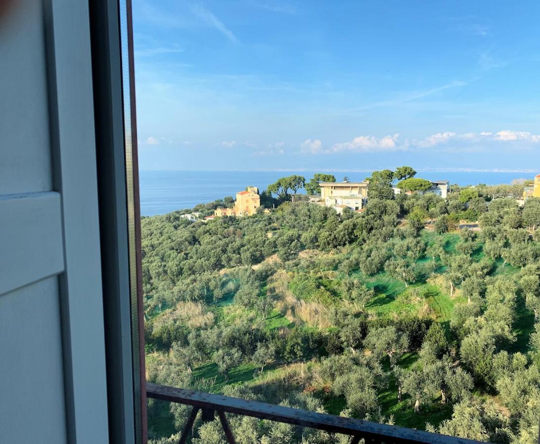 Hotel Dania Sorrento Dış mekan fotoğraf