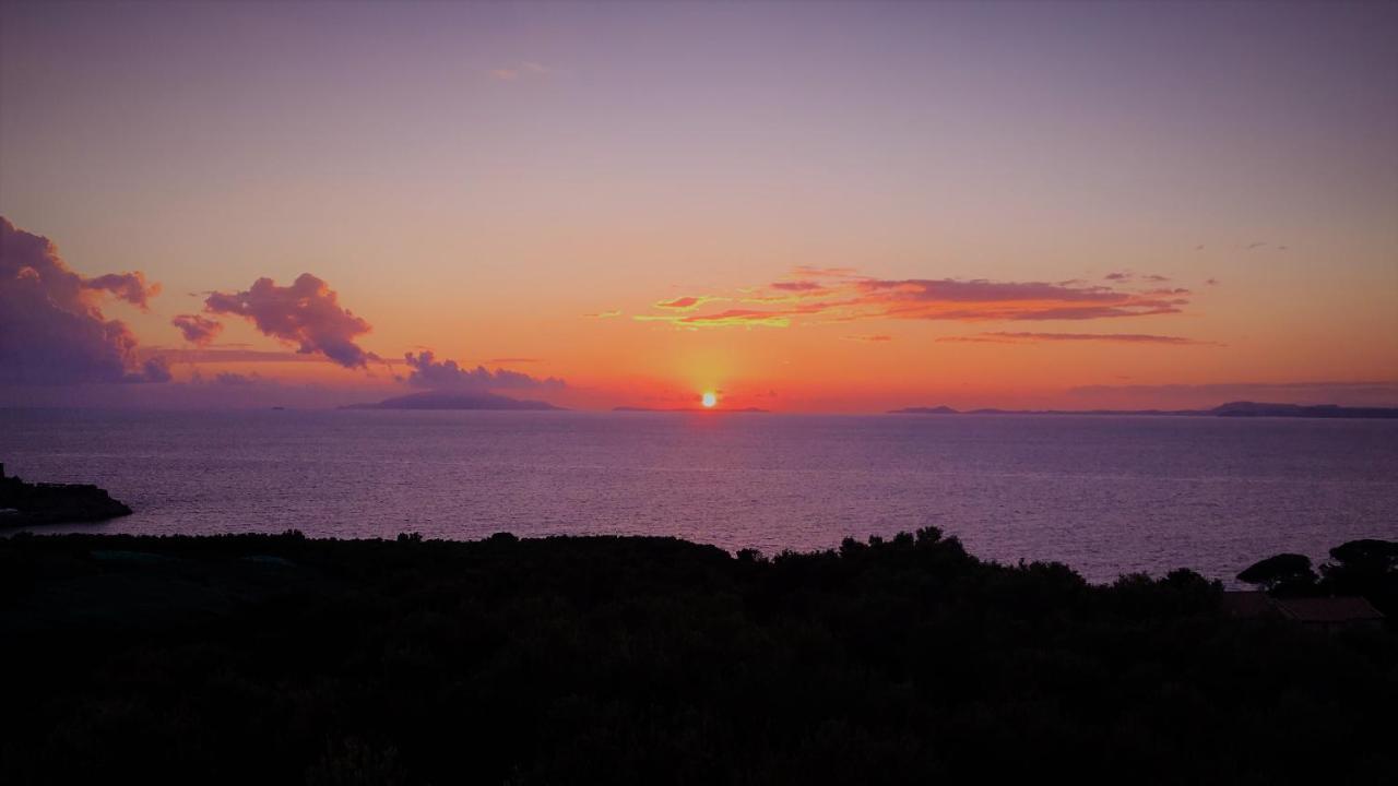 Hotel Dania Sorrento Dış mekan fotoğraf