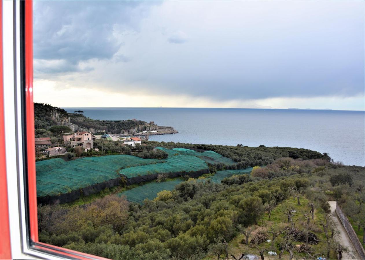 Hotel Dania Sorrento Dış mekan fotoğraf