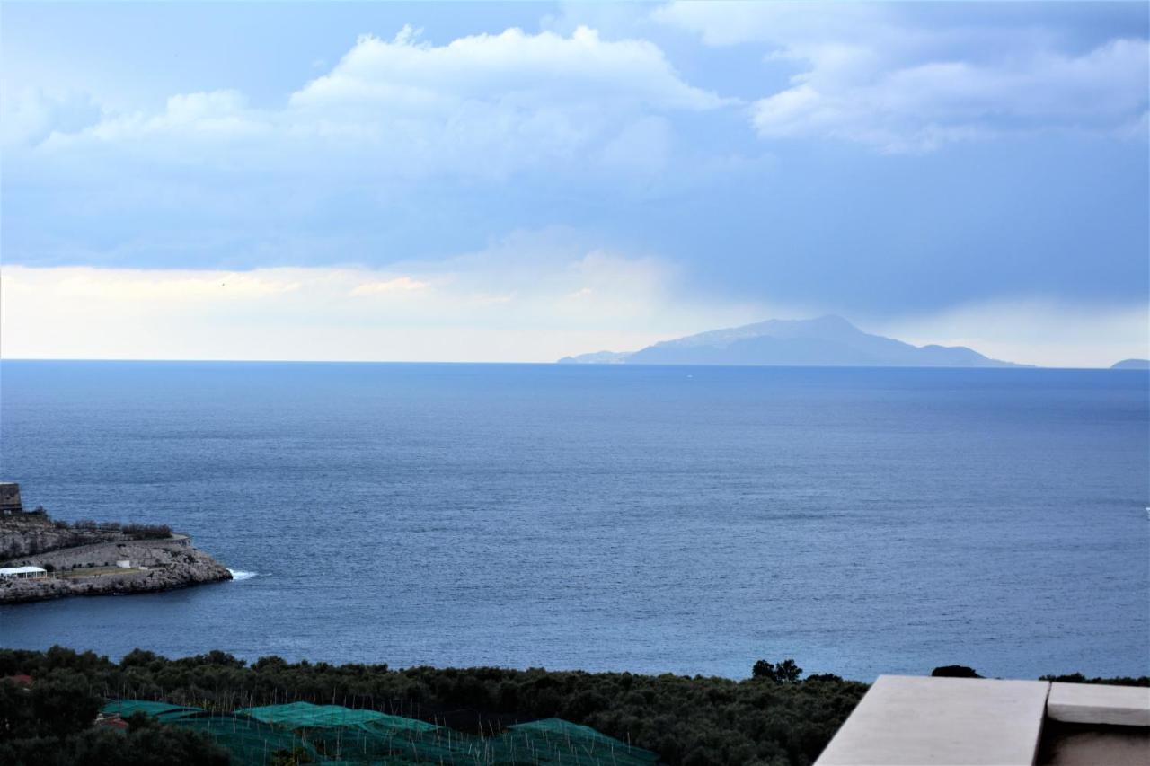 Hotel Dania Sorrento Dış mekan fotoğraf