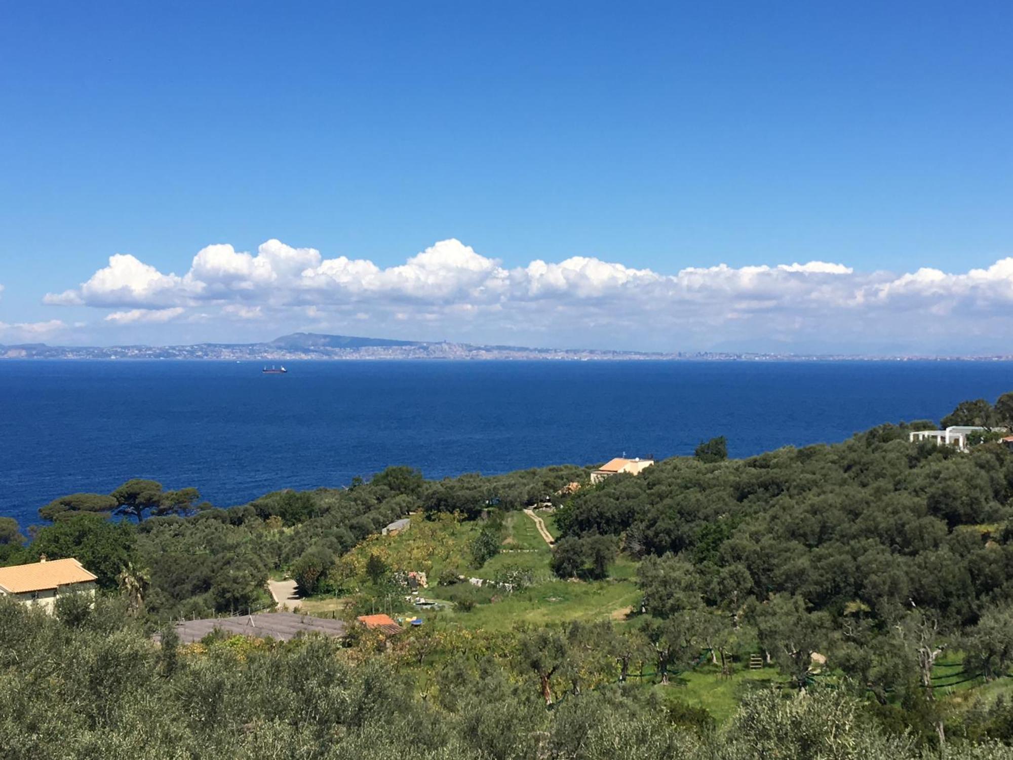 Hotel Dania Sorrento Dış mekan fotoğraf