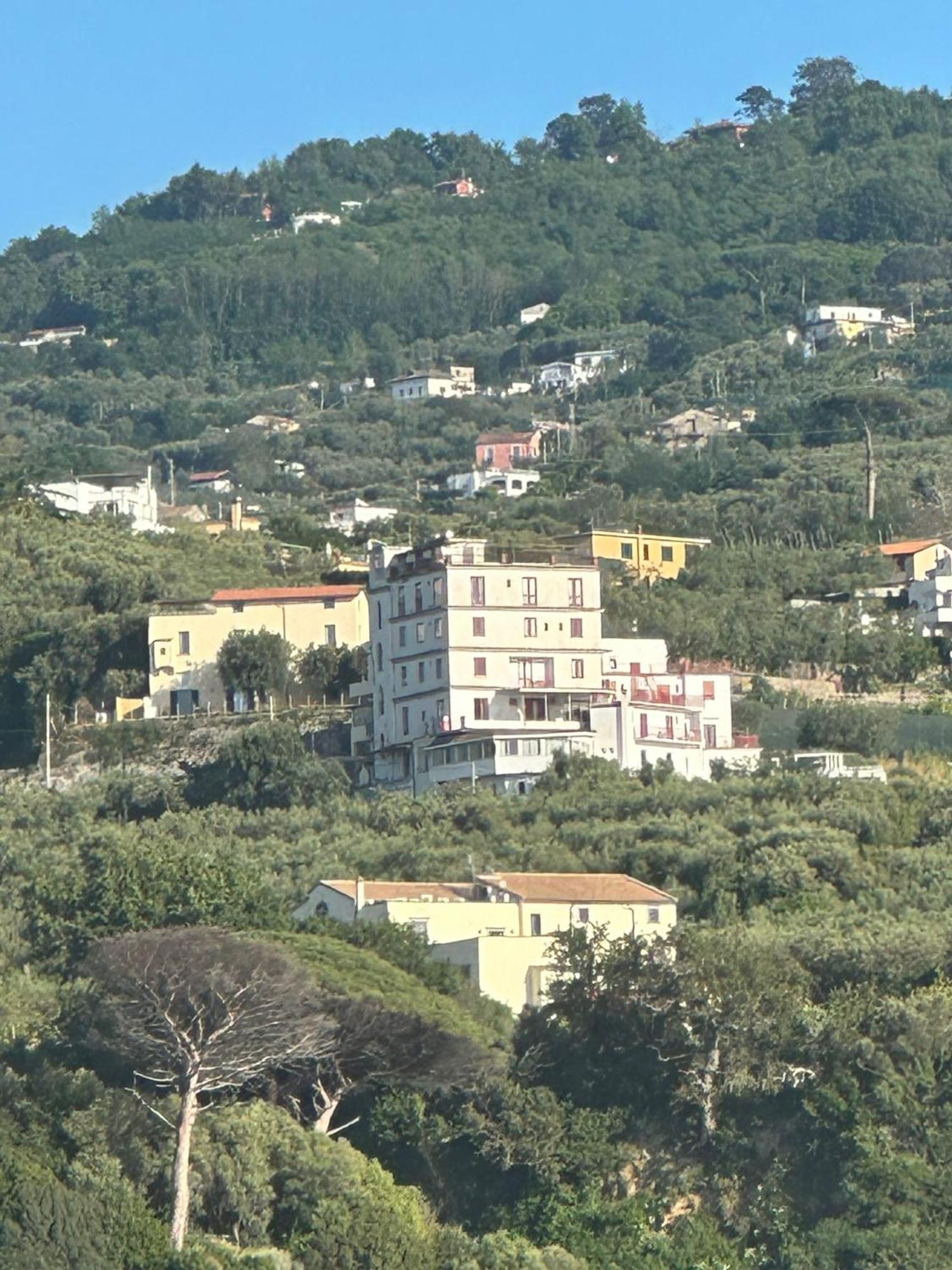 Hotel Dania Sorrento Dış mekan fotoğraf