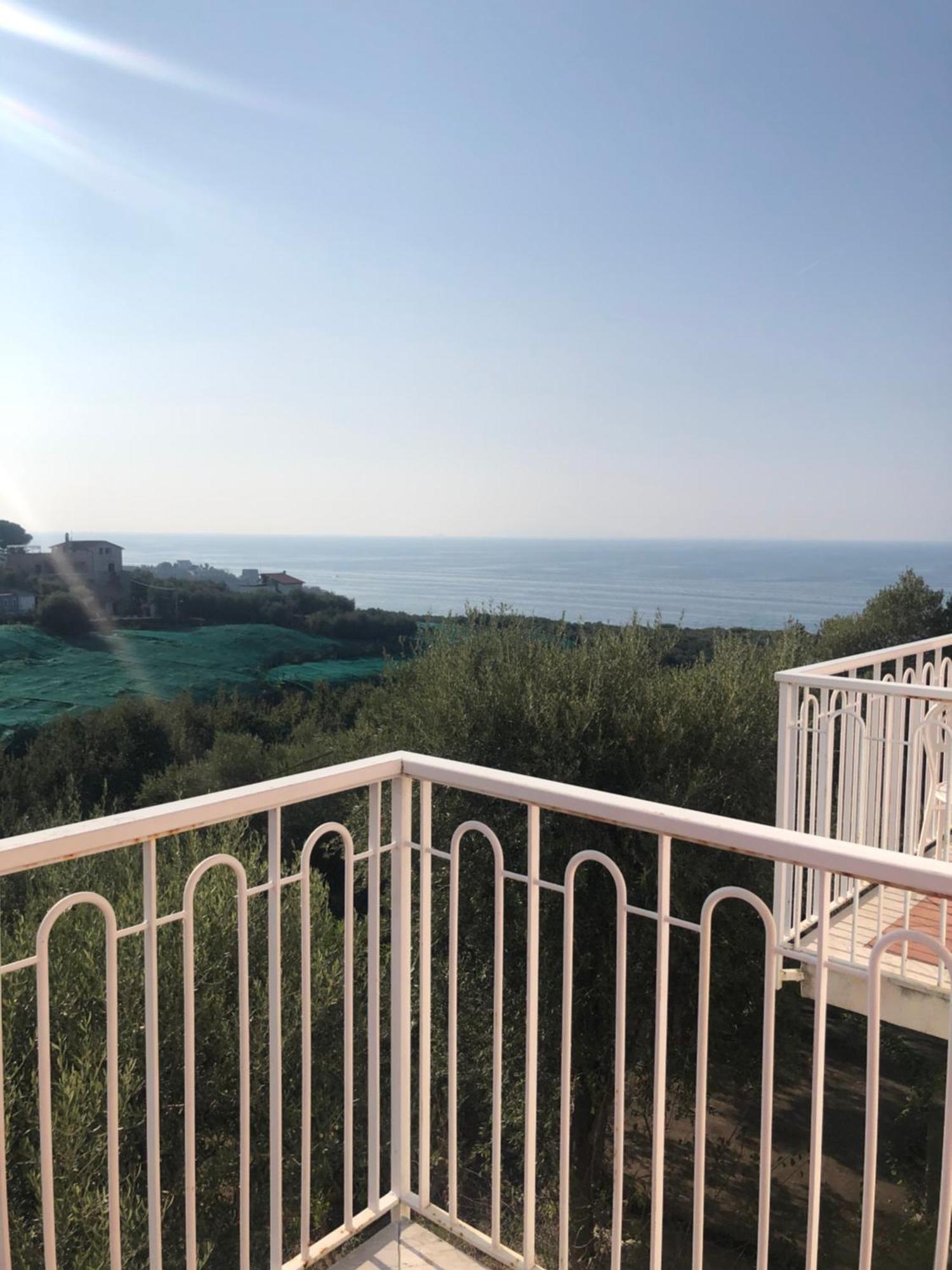 Hotel Dania Sorrento Dış mekan fotoğraf