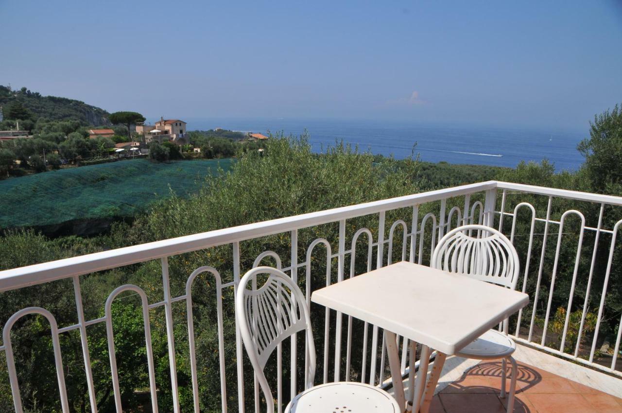Hotel Dania Sorrento Dış mekan fotoğraf