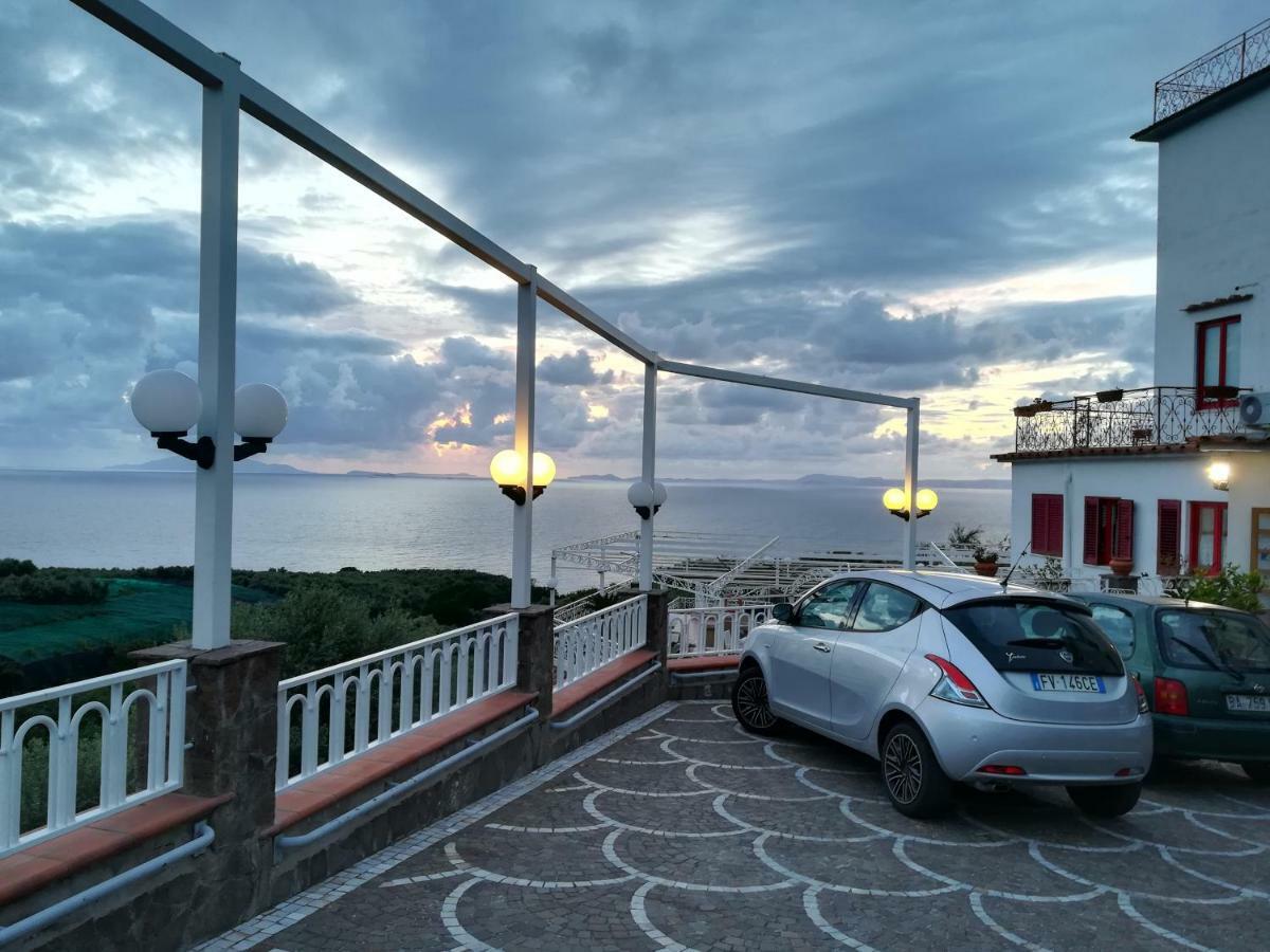 Hotel Dania Sorrento Dış mekan fotoğraf